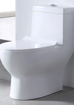 фото Унитаз-моноблок SM9601R безободковый, сиденье тонкое ДП, арматура (с гофрой и подводкой)