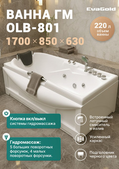 фото Ванна ГМ 1700*850*630 с насосом OLB-801 с переливом